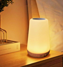 LED Night Light Table Lamp