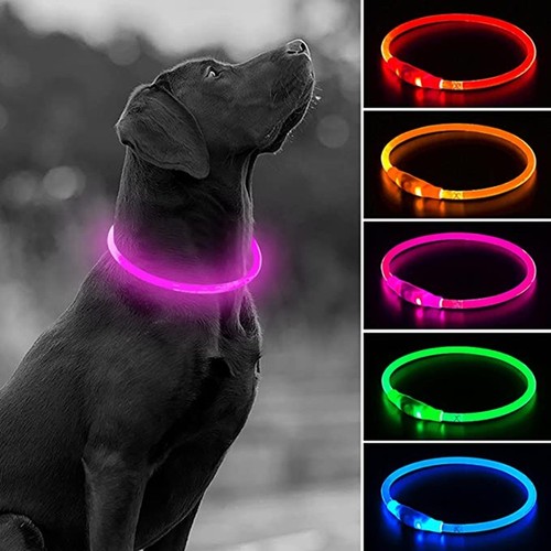 Usb rechargeable led dog pet - usb,