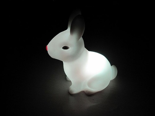 Colorful rabbit night - rabbit,